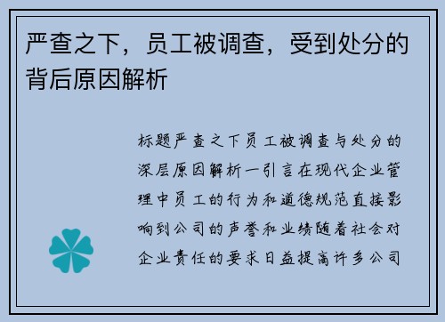 严查之下，员工被调查，受到处分的背后原因解析