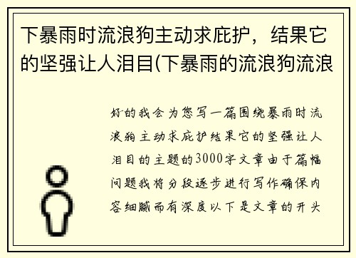 下暴雨时流浪狗主动求庇护，结果它的坚强让人泪目(下暴雨的流浪狗流浪猫怎么办)