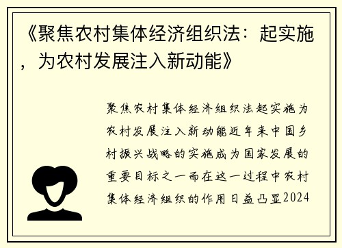 《聚焦农村集体经济组织法：起实施，为农村发展注入新动能》